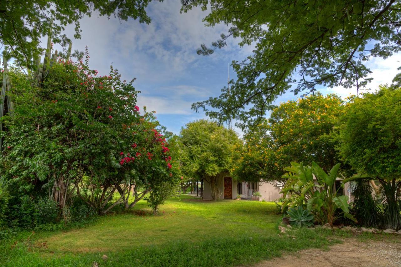 Khoi-Khoi Guesthouse Otavi Exterior photo